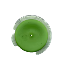 Vela de Algas